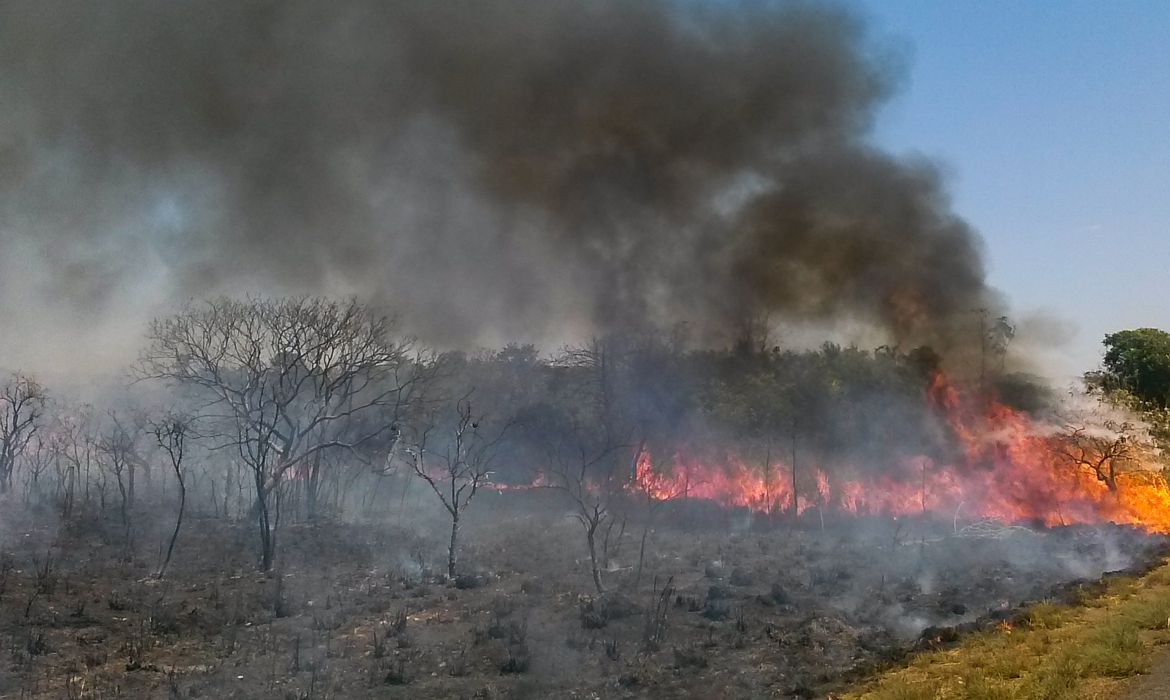 PORTARIA: Plano ABC+ entra em vigor em setembro e vai reduzir emissão de carbono