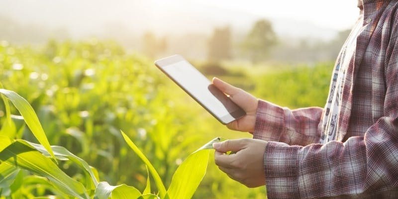 CAPAL: Loja Agropecuária lança ferramenta para pedidos online