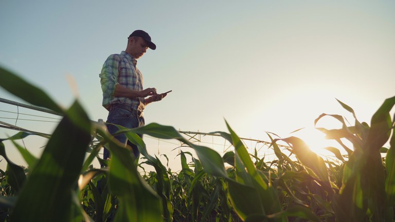 GESTÃO DE RISCOS: Áreas beneficiadas pelo Proagro serão vistoriadas pela Conab