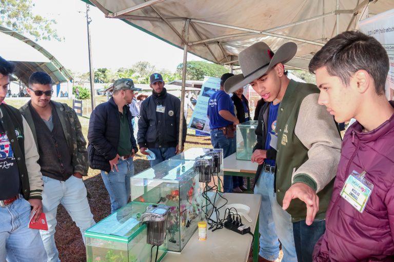COCAMAR: Concessionária participa da Expoagri em Apucarana
