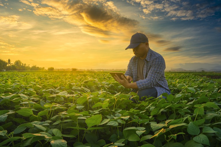 PLATAFORMA VIRTUAL: Projeto Hubtech vai apoiar trabalho de extensionistas e agricultores familiares