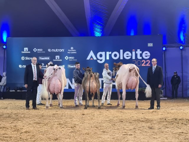 CASTROLANDA: Animais e vibração dos produtores impressionam juízes oficiais do Agroleite 2022