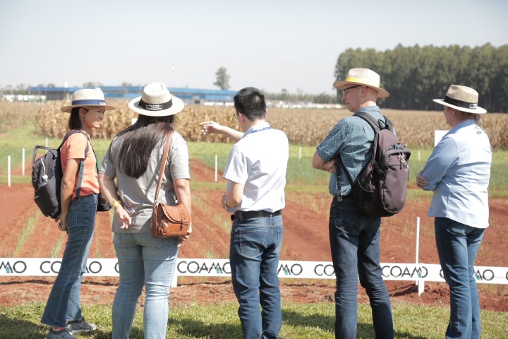 COAMO: Cooperativa recebe pesquisadores do 19º Congresso Internacional de Nutrição de Plantas