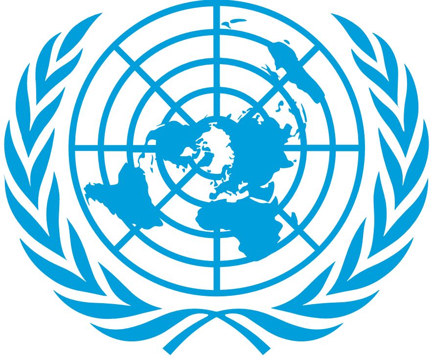 CONSULTA TÉCNICA: Coops brasileiras apresentam suas demandas para a cooperação técnica com a ONU