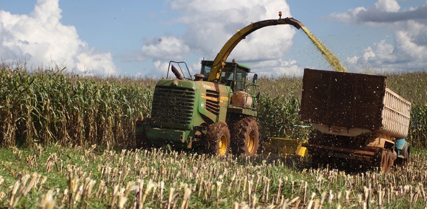 IPEA: Instituto divulga tendências de preços dos principais produtos agropecuários em parceria com Conab e Cepea