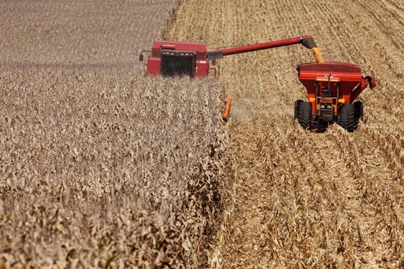 VBP: Valor da produção agropecuária de 2022 está estimado em R$ 1,207 trilhão