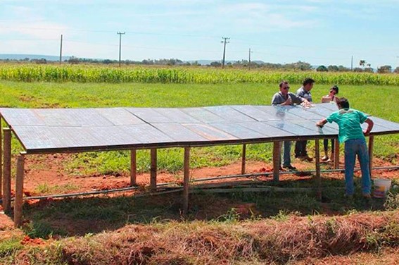 LEGISLATIVO: Projeto estimula microgeração solar na agricultura familiar