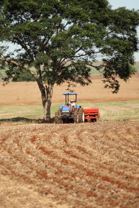 CONJUNTURA AGROPECUÁRIA: Plantio da soja avança no Paraná, indica boletim do Deral