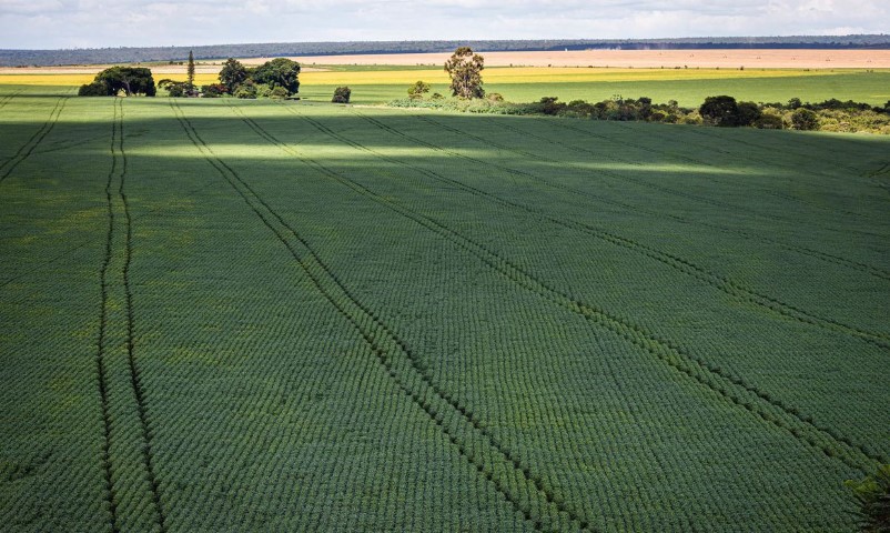CMN: Conselho aumenta prazo para análise de pedidos ao Proagro