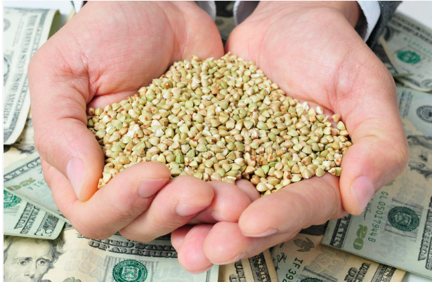 AGRONEGÓCIO: Coreia do Sul quer ampliar mercado para coops brasileiras