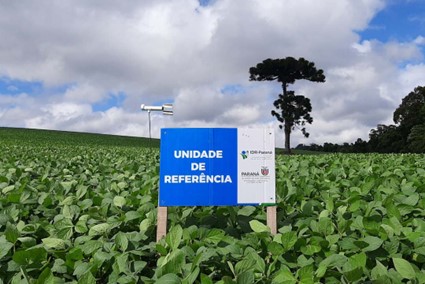 SOJA: IDR-Paraná inicia os trabalhos da rede Alerta Ferrugem safra 2022/2023