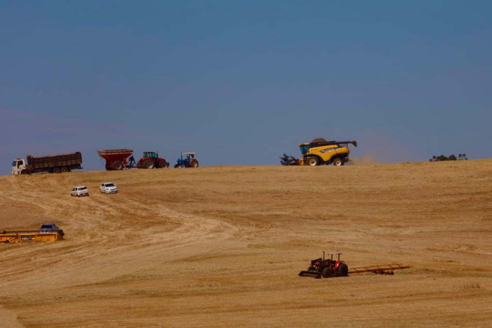 SEAB: Secretaria da Agricultura estima safra 2022/23 em 25,7 milhões de toneladas de grãos