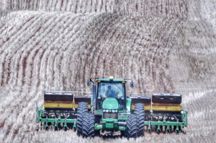 CONJUNTURA AGROPECUÁRIA: Plantio da soja volta à normalidade; expectativa é que safra alcance 21,5 milhões de toneladas