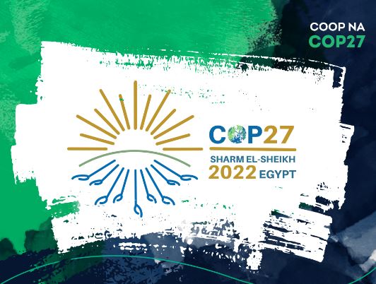 SUSTENTABILIDADE: Agro sustentável é tema de painel na COP27