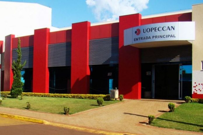 COOPAVEL: Cooperativa arrecada donativos para Uopeccan e casas de apoio