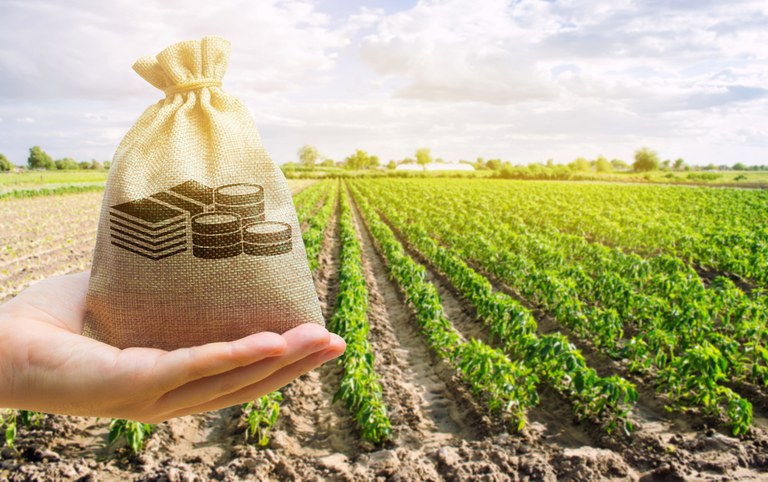 PLANO SAFRA: Desembolso do crédito rural chega a R$ 148 bilhões até outubro, com alta de 22%