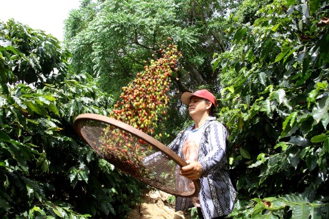 RECONHECIMENTO: Novas categorias do Prêmio Orgulho da Terra valorizam mulheres, tecnologias e café