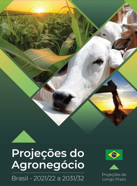 PROJEÇÕES DO AGRONEGÓCIO: Produção de grãos deve crescer 36,8% nos próximos dez anos