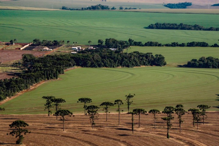 SEAB/DERAL: Caderno Regional Agropecuário analisa formação do preço de terras no Paraná