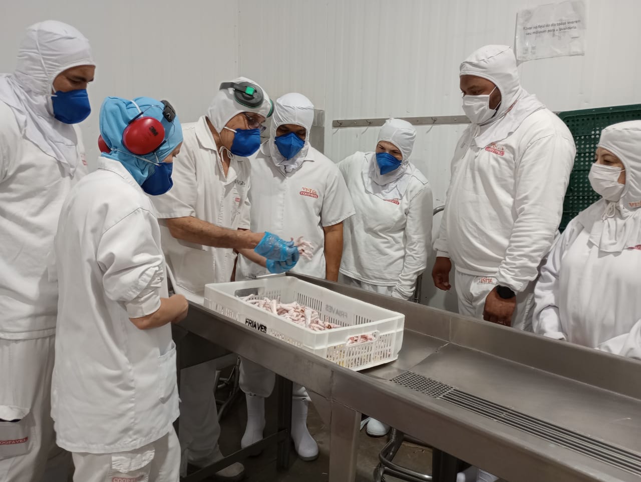 COOPAVEL: Visita guiada a frigorífico potencializa os resultados nos aviários