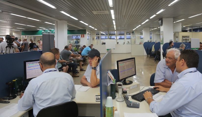 COAMO: Sobras antecipadas de R$ 220 milhões serão distribuídas nesta segunda-feira