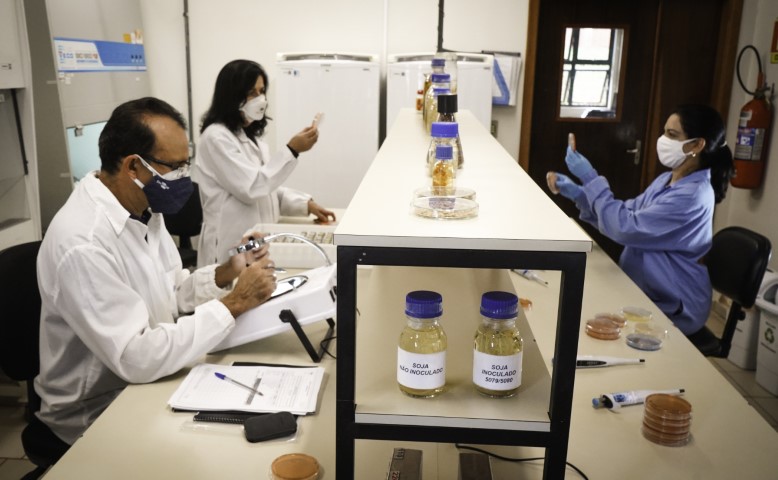 EMBRAPA: Bioinsumo brasileiro para pastagens vence prêmio mundial