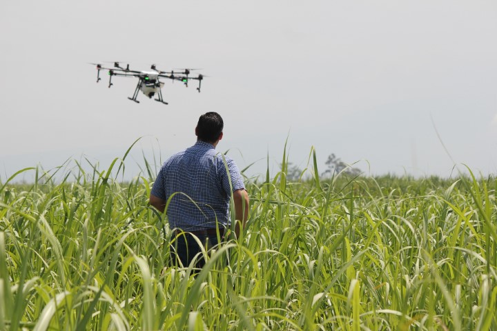 LEI 14.475/22: Sancionada a política de incentivo à agropecuária de precisão