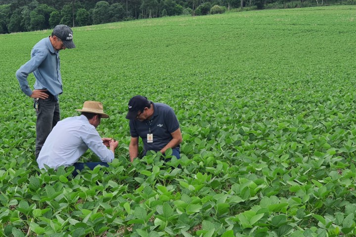 SOJA: Giro Técnico divulga boas práticas de cultivo a mais de mil produtores no Estado