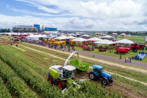 C.VALE: Dia de Campo de Verão retorna em novo espaço