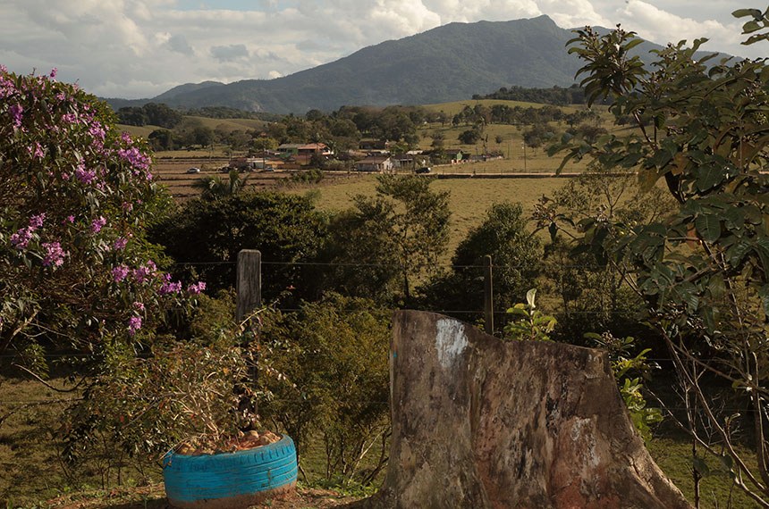 LEGISLATIVO I: Medida provisória dá mais 180 dias para adesão ao Programa de Regularização Ambiental