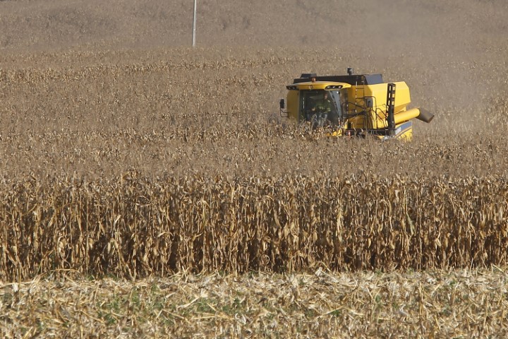 SEAB/DERAL: Agricultura divulga primeiras estimativas para a segunda safra 2022/2023 no Paraná