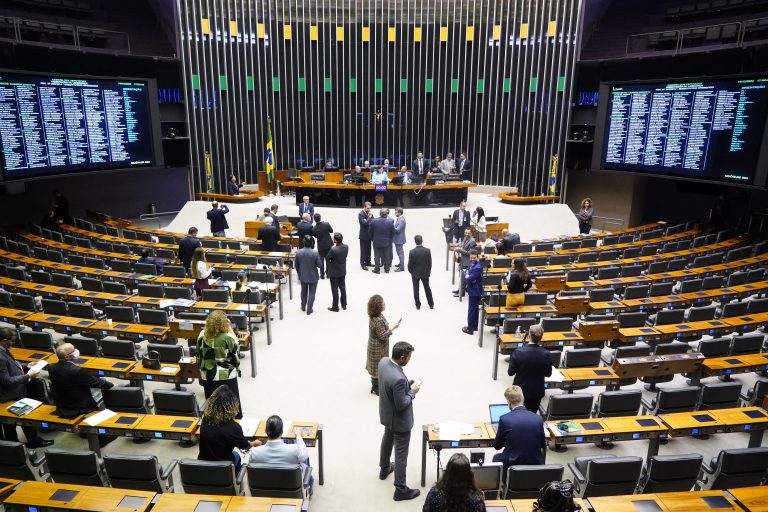 LEGISLATIVO II: Plenário da Câmara aprovou 271 propostas em 2022; confira os principais temas votados