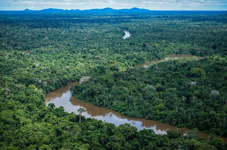 MEIO AMBIENTE: Medida Provisória estimula mercado de créditos de carbono na gestão de florestas
