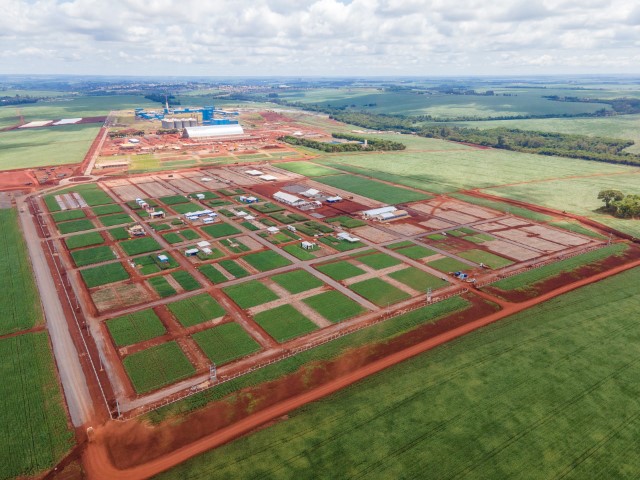 C.VALE: Falta uma semana para o Dia de Campo de Verão 