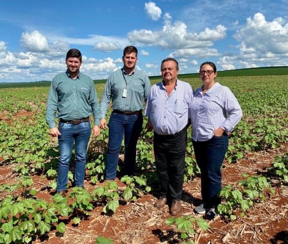 COCAMAR: Produtor investe para colher 5 mil quilos de soja por hectare