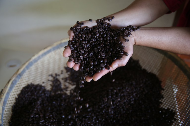 PORTARIA 570: Novo padrão para café torrado entra em vigor e indústria já está se preparando