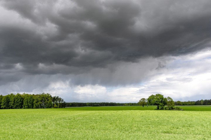 AGRICULTURA: Mesmo com chuvas irregulares, IDR-Paraná aponta dezembro saudável no campo