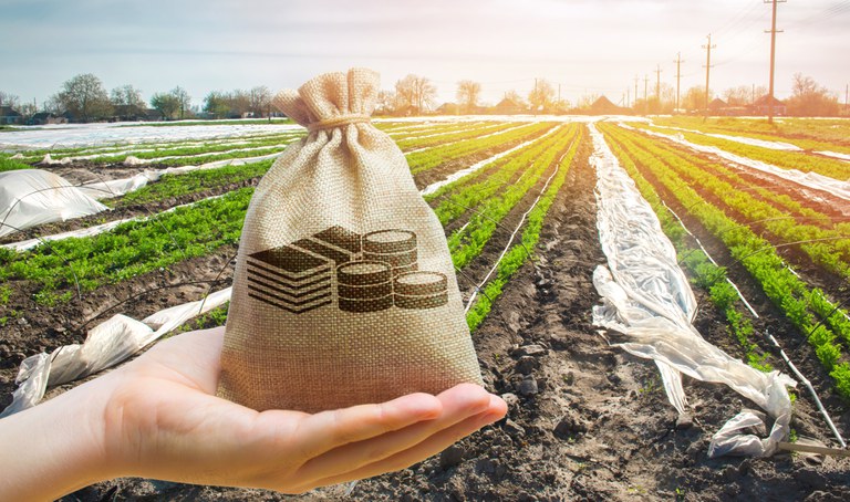 PLANO SAFRA: Desembolso do crédito rural soma R$ 202,8 bilhões até dezembro