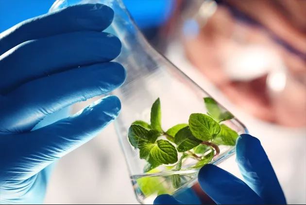 COOPAVEL: Quinze empresas mostram benefícios dos bioinsumos no Show Rural 2023