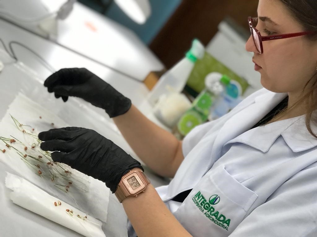 INTEGRADA: Inovação e protagonismo; a rigorosa análise de qualidade das sementes beneficiadas pela cooperativa