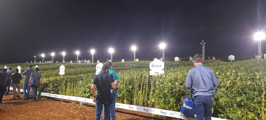 FRÍSIA: Cooperativa prepara Noite da Soja Sementes Batavo em Carambeí