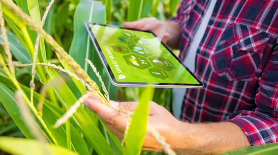MAPA: Nova plataforma do Observatório da Agropecuária traz relatórios do agro