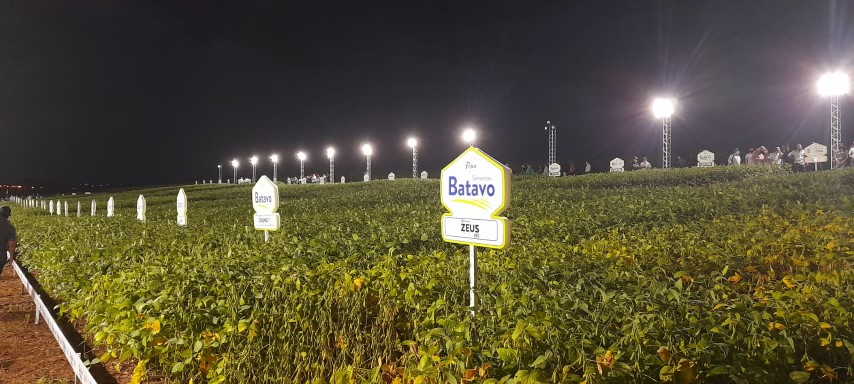 FRÍSIA: Faltam poucos dias para a realização da “Noite da Soja Sementes Batavo”