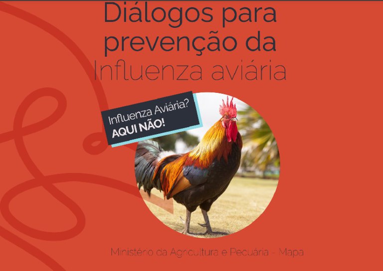CAMPANHA: Prevenção à influenza aviária ganha livro digital com material multimídia do Mapa