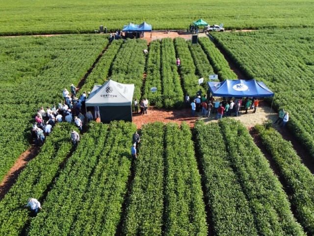 COCAMAR: Dias de Campo movimentam cooperados em todas as regiões
