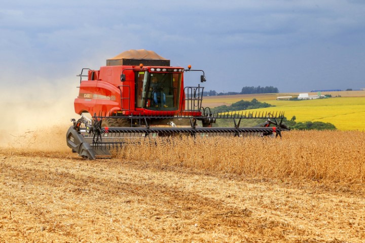 PLANO SAFRA: Liberação do crédito rural supera R$ 239 bilhões em oito meses