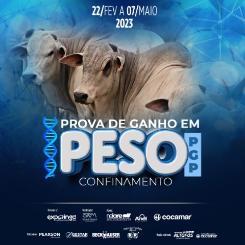 COCAMAR: Cooperativa participa de Prova de Ganho de Peso na SRM