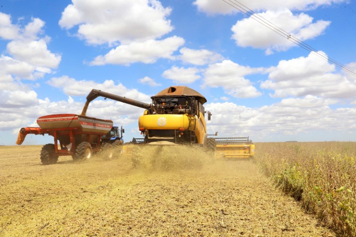 CONJUNTURA AGROPECUÁRIA: Colheita da soja evolui de 17% para 30% na última semana no Paraná