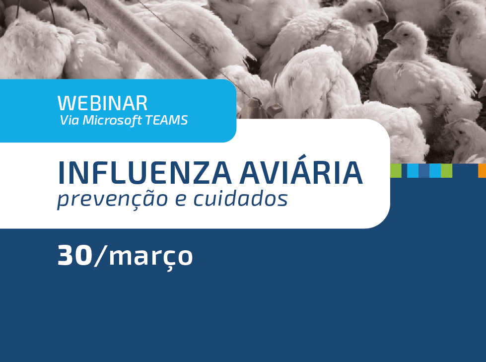 WEBINAR: Biosseguridade é essencial para evitar a entrada da influenza aviária na avicultura comercial, destaca pesquisador da Embrapa 