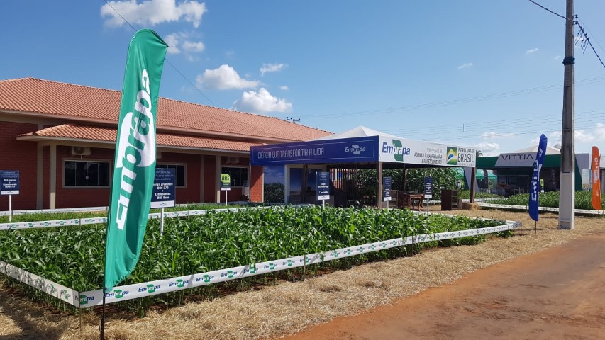 VITRINE DE TECNOLOGIAS: Embrapa lança três cultivares de soja na Tecnoshow